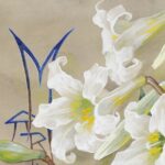 +++ Climate Action Report on Regenerative Digital Transformation +++