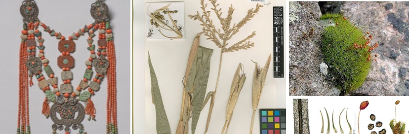 Corals, Corn and Moss blogs published